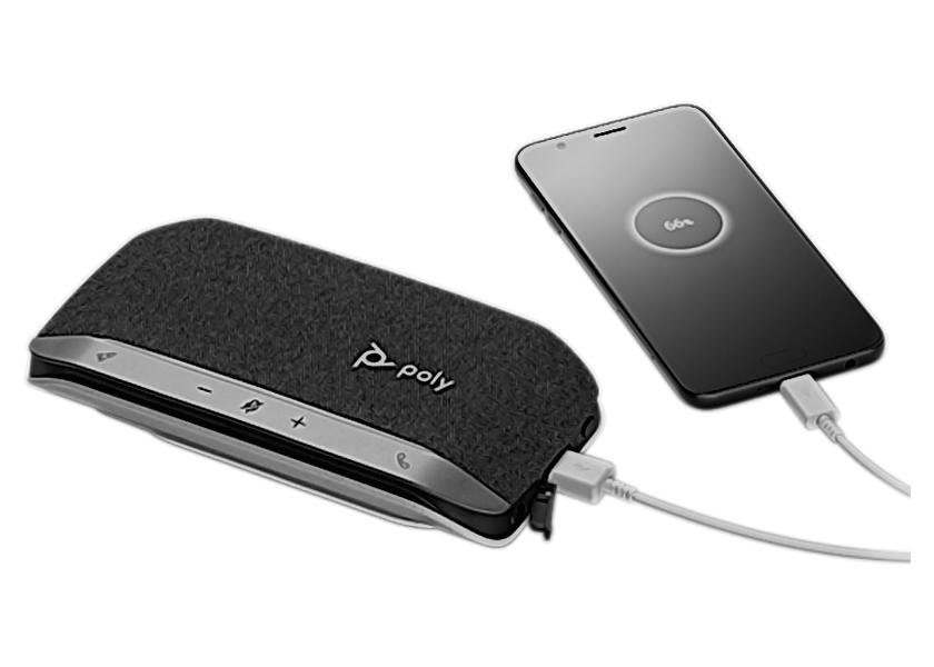Poly Sync 20